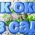 Домик окнами в сад