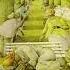 The Battle Of Epping Forest Genesis