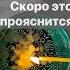 Срочные Вести отливка на воске Shorts онлайнгадание