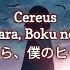 Cereus Sayonara Boku No Hero さよなら 僕のヒーロー Lyrics