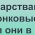 Можно ли лекарствами вылечить грыжи позвоночника Перечень медикаментов для лечения симптомов