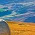 BEST OF UPLIFTING TRANCE MIX August 2022 TranceForce1