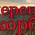 Как переносить скорби Наставление о терпении скорбей преподобный Никон Оптинский