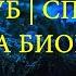ИЗГНАНИЕ ДЕМОНА 20 ГЦ СУККУБ СПРУТ ПРИВОРОТ ОТКАТ МАГИИ РЕГРЕССИВНЫЙ ГИПНОЗ ARGO VP2