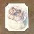 The Tale Of Mrs Tiggy Winkle Beatrix Potter