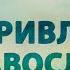 PT516 Rus 28 Современная Православная Церковь Привлекательные черты Православной Церкви