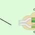 Hidden GMOs 5 Mutagenesis