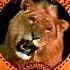 Metro Goldwyn Mayer 1993 31st Anniversary Special