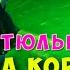 Наташа Королева Три тюльпана Сольный концерт в БКЗ Октябрьский 11 11 2024