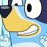 Bluey Season 3 Episode 38 Cubby Episode Clip Disneyjr X BlueyOfficialChannel