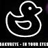 SAKVREYE ＩＮ ＹＯＵＲ ＥＹＥＳ