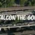 Falcon The God Whenever Ft Ju El Mr Corde2Famous Official Music Video