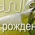 С ДНЕМ РОЖДЕНИЯ АЛЕКСАНДРА Музыкальное поздравление для АЛЕКСАНДРЫ