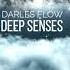 Darles Flow Deep Senses Deep Atmospheric House Helly Larson Tribute 2019