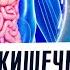 Как убрать ЛЮБОЕ воспаление в кишечнике ЭТО надо есть и пить при болезнях ЖКТ Проверено веками