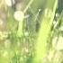 Israel Kamakawiwo Ole Somewhere Over The Rainbow Thomas Jack Remix