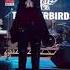 THUNDERBIRDS Live Gig Концерт холл СВОБОДА 27 11 2022