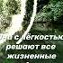 Самый Божественный Знак Зодиака