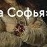 Царевна Софья TretyakovEDU