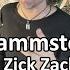 Rammstein Zick Zack Опять стебать