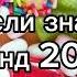 Танцуй если знаешь этот тренд 2 0 2 4 года