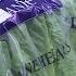 VIDEO E Coli Outbreak Linked To Romaine Lettuce