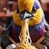 Bird At A Café A Majestic Dining Moment Ai Shorts Shortvideo