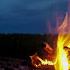 Campfire Ambience With Night Animals Such As Owls And Crickets Made For Relaxation Sleep Enjoy