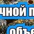 ЗРЕЛОСТЬ МАТКИ ЗАЛОГ УДАЧНОЙ ПОДСАДКИ ОБЪЕДИНЕНИЯ