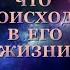 ЧТО ПРОИСХОДИТ В ЕГО ЖИЗНИ Таро онлайн Расклады Таро Гадание Онлайн