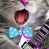 LITTLE KITTEN ADVENTURE CARTOON KITTEN ROCK MUSIC KIDS FUN DANCE MUSIC FOR KIDS