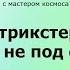 Ректорий Принцип трикстера лидерство не под фонарем