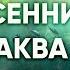 Осенний стрим по аквариумистике с Александром Ершовым