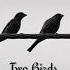 Регина Спектор Two Birds Две птицы перевод