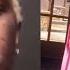 Young Thug Fiancé Jerrika Gives Him Permission To Cheat On Her After Suspecting Infidelity