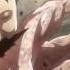 Attack On Titan Counter Attack Mankind BATTLE MUSIC EXTENDED