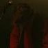 Cosmo Sheldrake Pelicans We Live In France