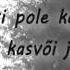 Shanon Suvi Kestab Veel Sõnad Lyrics