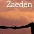 Tere Bina Zaeden Lyrics Video