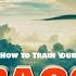 How To Train Your Dragon Epic Orchestral Emotional Remix