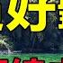 新歌 新歌 一个月播放上千万的伤感催泪情歌 来生再续未了情 句句深情扎心 听哭了多少痴情人 给生活加点糖chinese Song