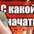 С какой дозировки пробовать мухомор новичку Сколько мухомора принять в первый раз