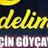 Elcin Goycayli Oruc Amin Delim Delim Official Audio