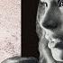 My Darkness By Danzig Live At The Blue Note Bistro O Keefe Music Foundation