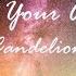 Give Me Your Attention Candelion Lyrics Lyric Video