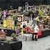 Bonsai Show Live At Telford 2024