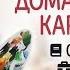 Чем заняться дома на карантине Что делать дома чем заняться в свободное время курсы хобби и т д