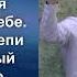 19 12 2021 Возложил ли ты всё на Алтарь Сделай нас Господь людьми способных помочь друг другу