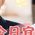 Slightly Dazed Boss Descends Baby Sets Up Blind Date Huang Haowen Cai Caiyun