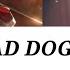 Vivid BAD SQUAD RAD DOGS Touya Akito Ver ROM ESP